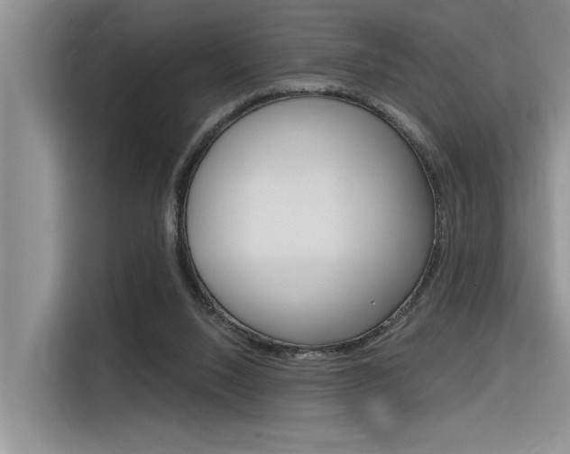 X0000116380064200912020954