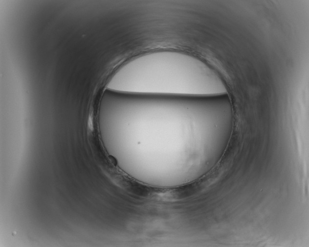 X0000116380068200912020954