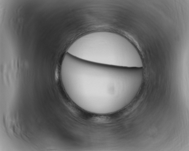 X0000116380069200912020954