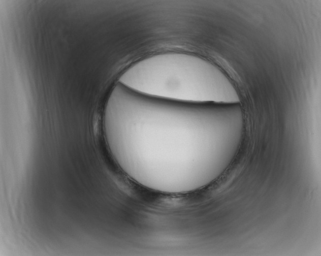 X0000116380071200912020954