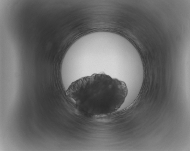 X0000116380074200912020954