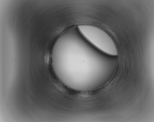 X0000116380076200912020954