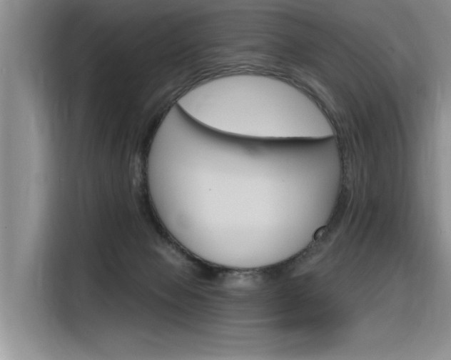 X0000116380077200912020954