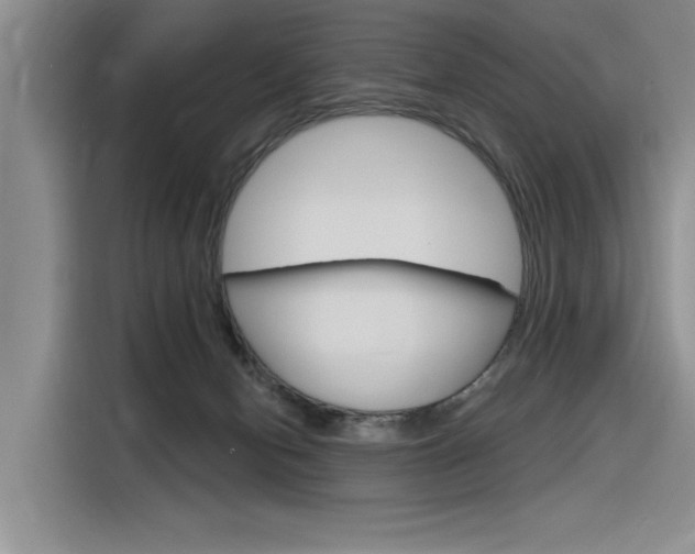 X0000116380078200912020954