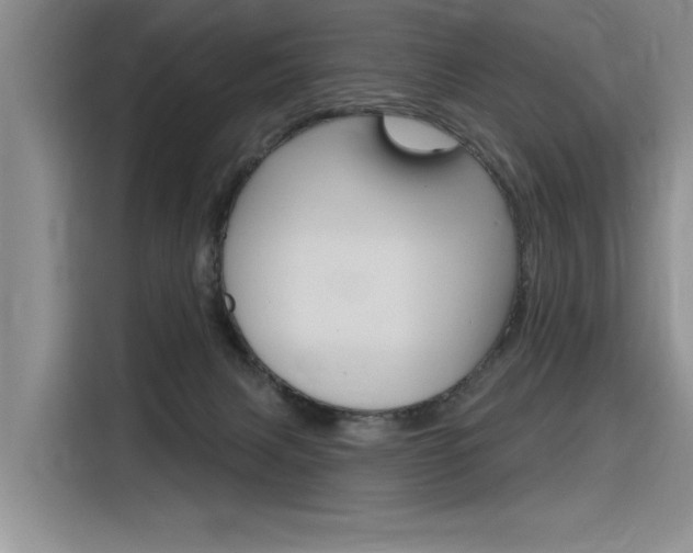 X0000116380079200912020954