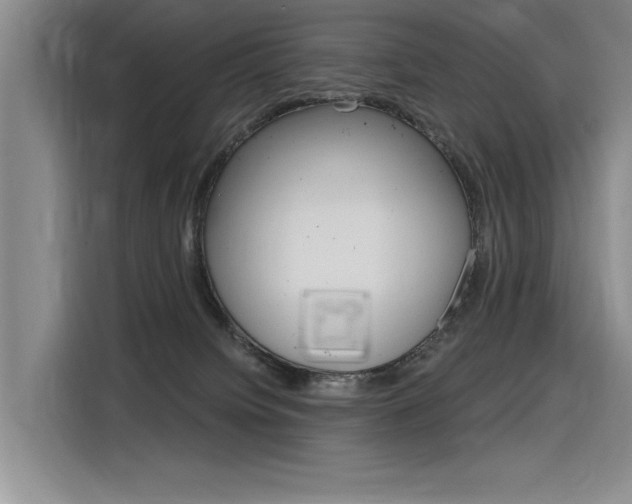 X0000116380084200912020954