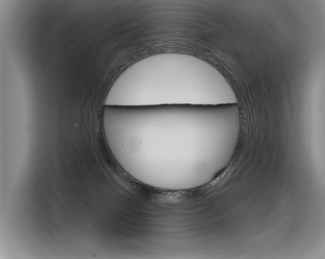 X0000116380086200912020954