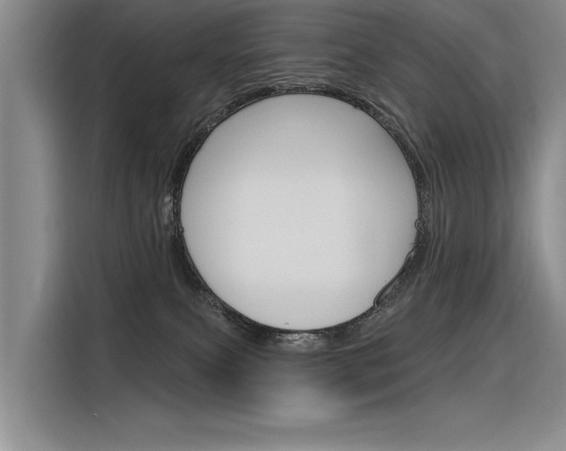 X0000116380087200912020954