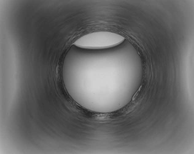 X0000116380088200912020954
