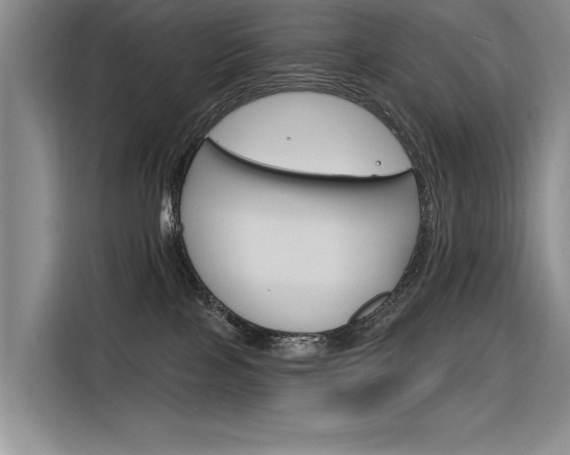 X0000116380089200912020954