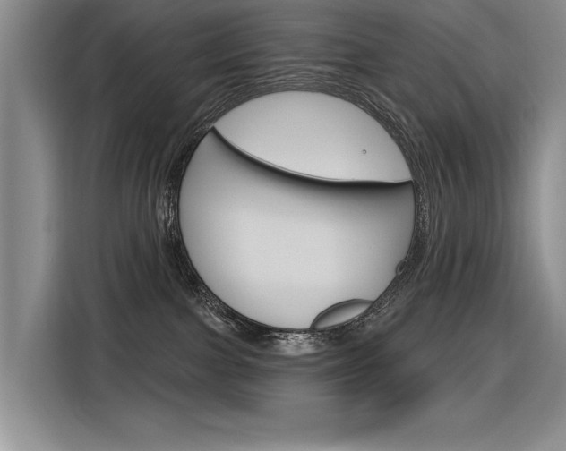 X0000116380091200912020954