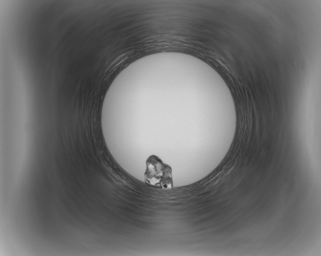 X0000116380092200912020954