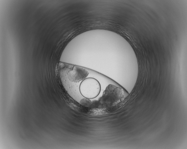 X0000116380093200912020954
