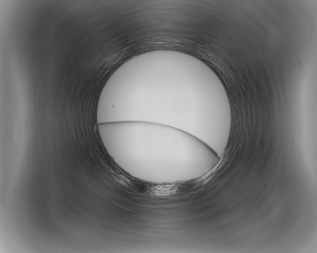 X0000116380094200912020954