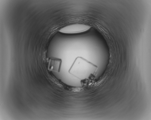 X0000116380096200912020954