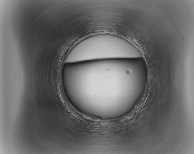 X0000116380097200912020954