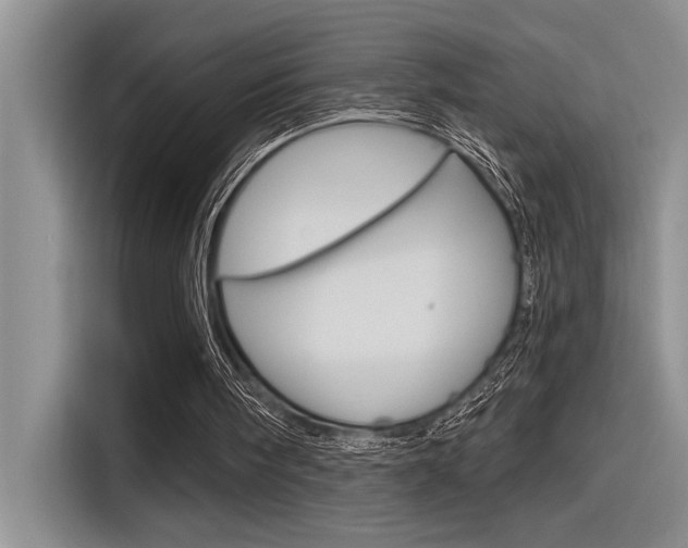 X0000116380098200912020954