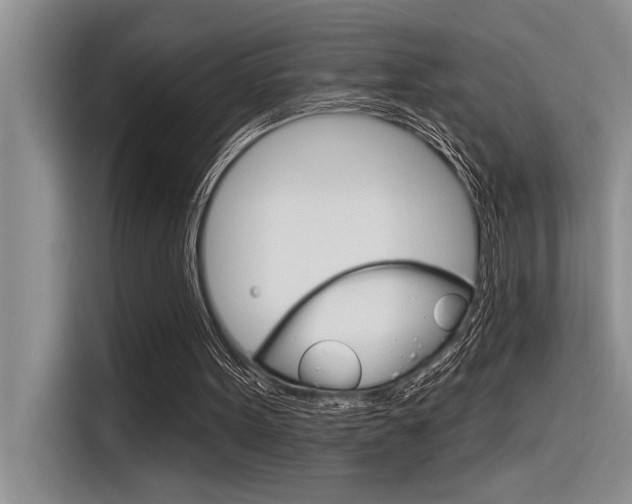 X0000116380099200912020954