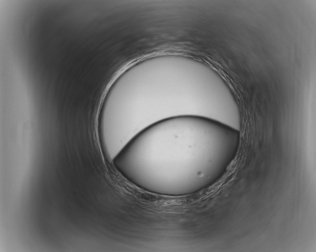X0000116380100200912020954