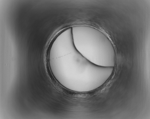 X0000116380103200912020954