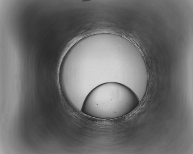 X0000116380104200912020954