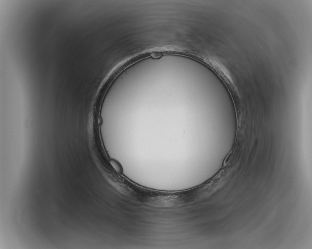 X0000116380108200912020954