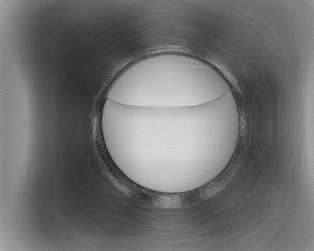 X0000116380110200912020954