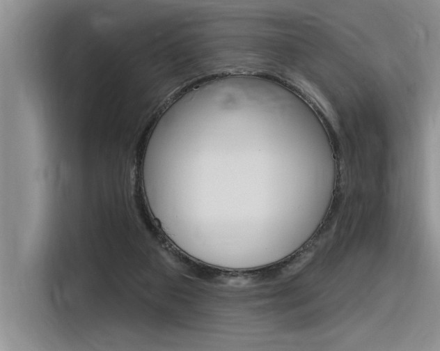 X0000116380113200912020953
