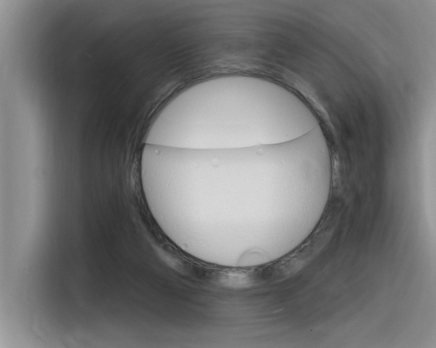 X0000116380114200912020953