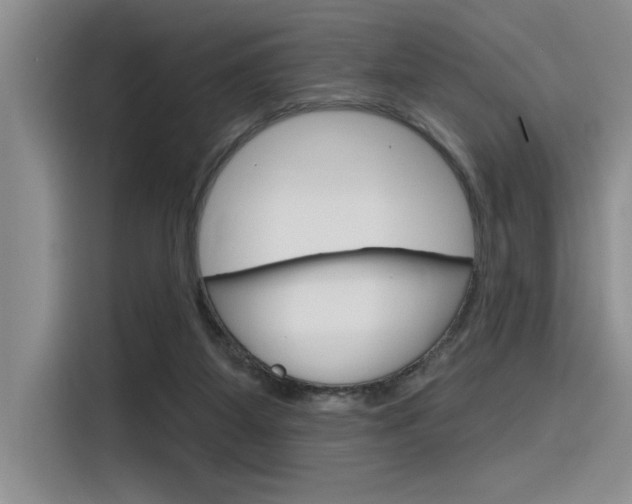 X0000116380115200912020953
