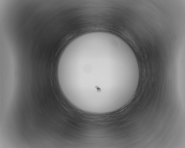 X0000116380116200912020953