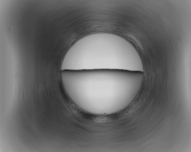 X0000116380123200912020953