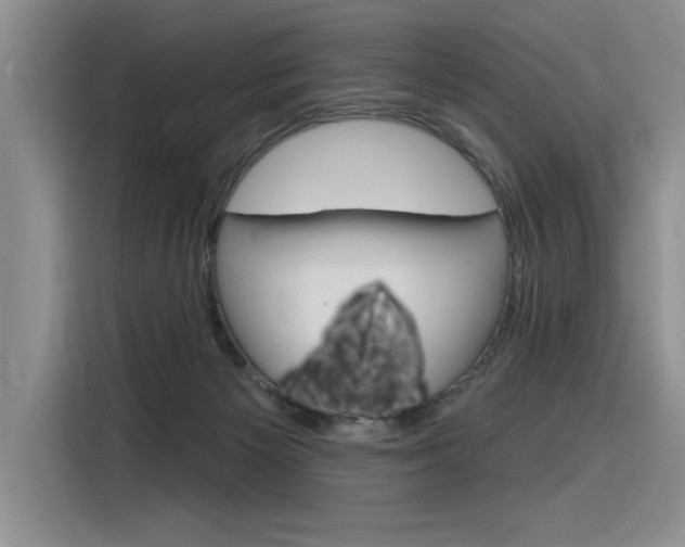 X0000116380125200912020953