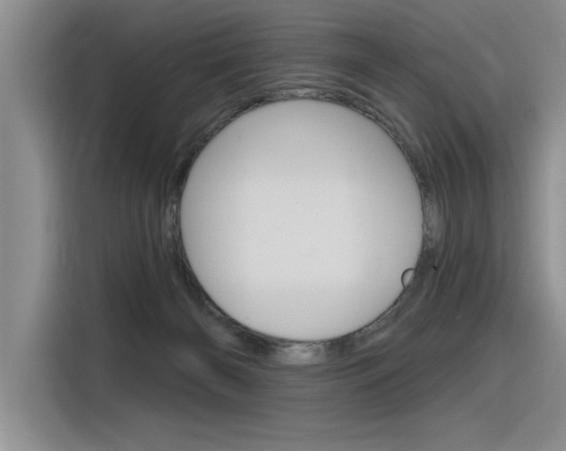 X0000116380126200912020953