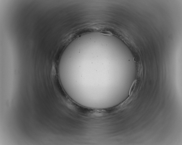 X0000116380128200912020953