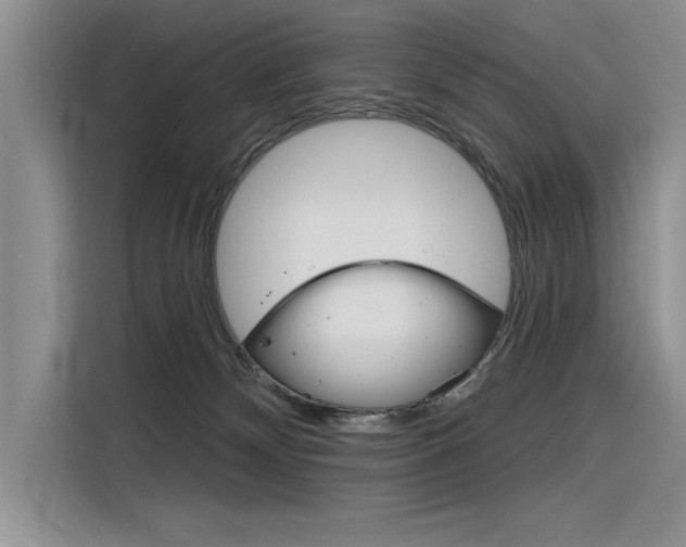X0000116380132200912020953