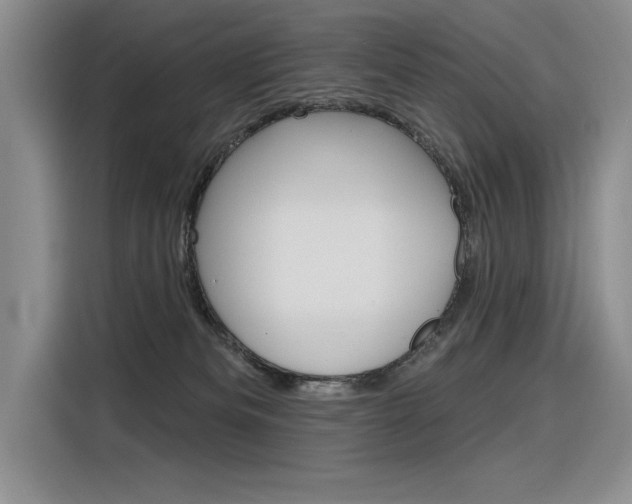 X0000116380133200912020953