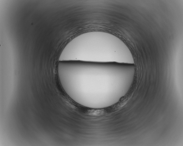 X0000116380135200912020953