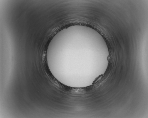 X0000116380137200912020953