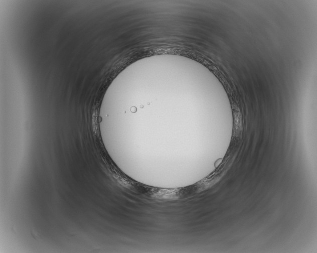 X0000116380138200912020953