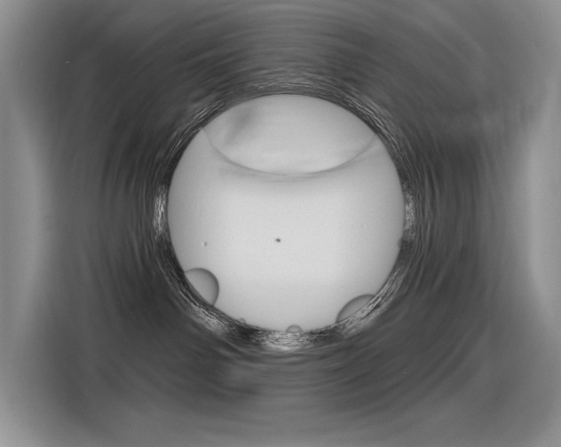 X0000116380142200912020953