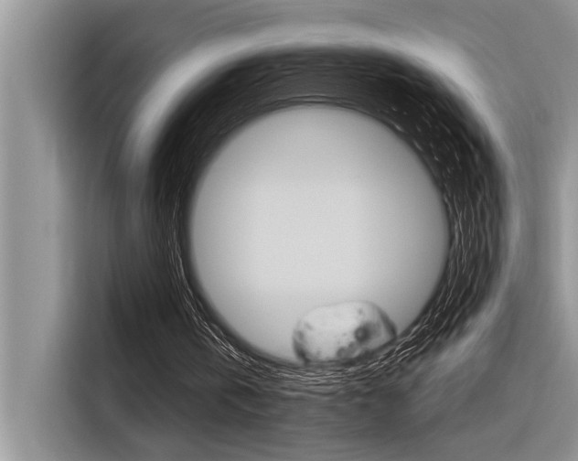 X0000116380146200912020952