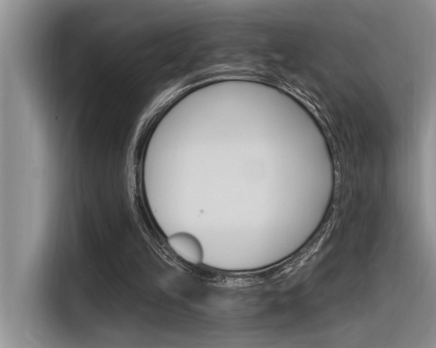 X0000116380149200912020952