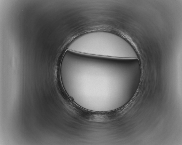 X0000116380154200912020953