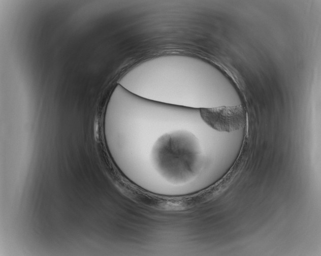 X0000116380157200912020953