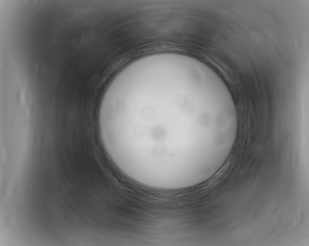 X0000116380158200912020953