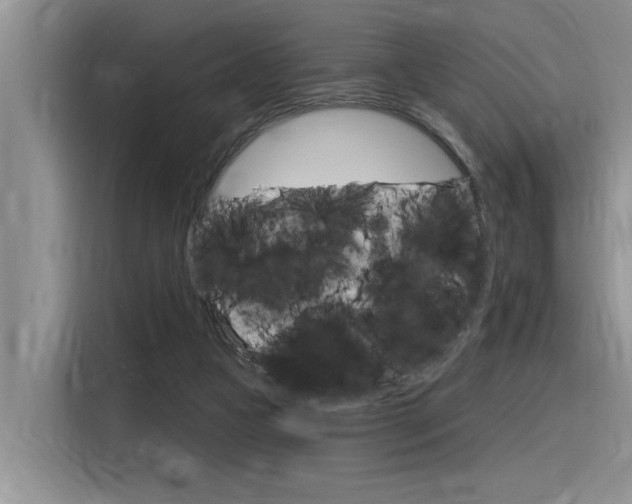 X0000116380161200912020953