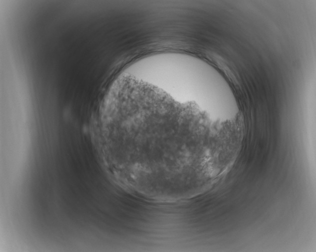 X0000116380167200912020953