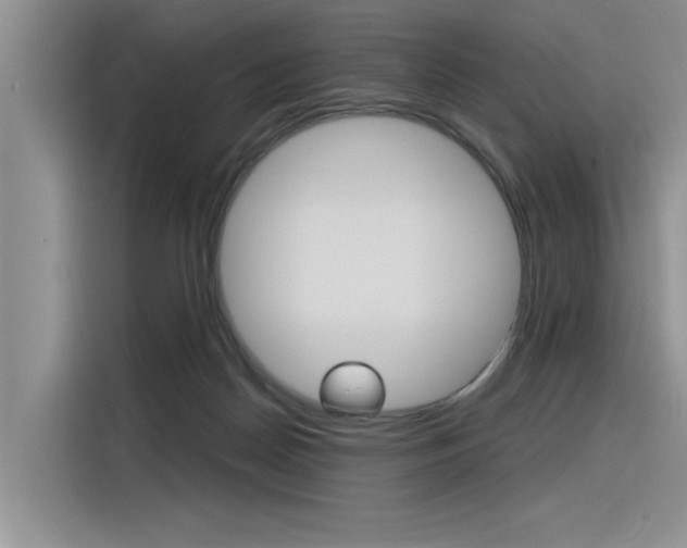 X0000116380170200912020953