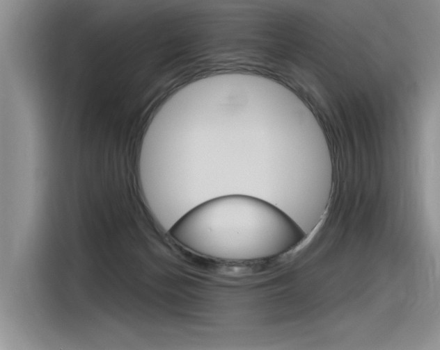X0000116380174200912020953